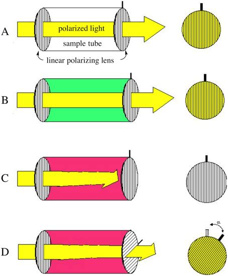 homemade polarimeter poincare|An Inexpensive Homemade Polarimeter for Demonstration Use in .